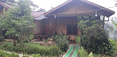 Mountain View Cottages & Villa Tangkahan