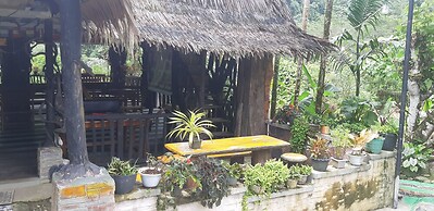 Mountain View Cottages & Villa Tangkahan