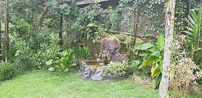 Mountain View Cottages & Villa Tangkahan