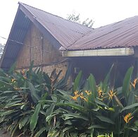 Mountain View Cottages & Villa Tangkahan