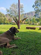 Paraje Real Malinalco