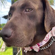 Paraje Real Malinalco