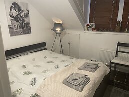 Entire Artistic Open-plan Top Floor Apartment