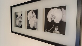 Italianway - Riva di Reno 47 B