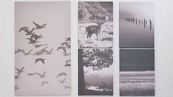 Italianway - San Gallo 16