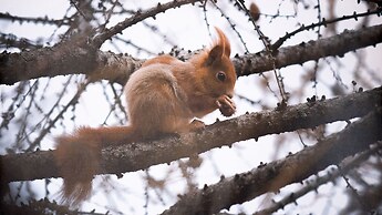 Italianway - Funivie 6A