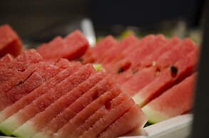 Suites Plaza Hotel & Wellness