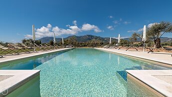 Locanda Della Meridiana - Olivo