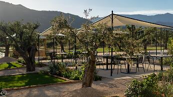 Locanda Della Meridiana - Olivo