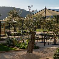 Locanda Della Meridiana - Olivo