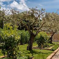 Locanda Della Meridiana - Olivo