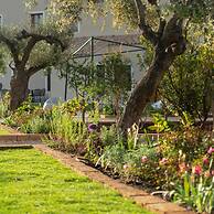 Locanda Della Meridiana - Olivo