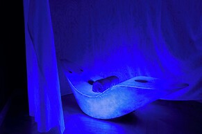 Waldorf Astoria Doha West Bay