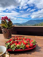 Chalé da Montanha com Ofurô - Sto Amaro