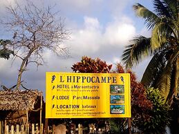 Lodge de l hippocampe parc Masoala