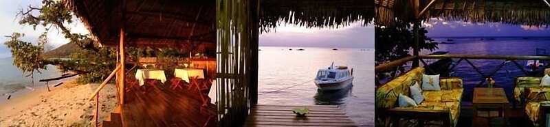 Lodge de l hippocampe parc Masoala