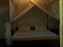 Lodge de l hippocampe parc Masoala