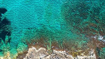 2243 Residence Anna - Appartamento Merluzzo