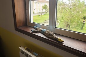 My Way Kite & Surf House