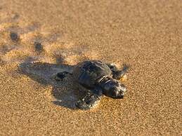 Beautiful and Large 3-bed Villa in Lapta, Cyprus