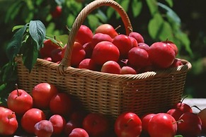 Beautiful and Large 3-bed Villa in Lapta, Cyprus