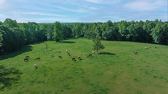 Southern Cross Guest Ranch