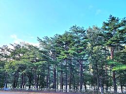 Mt Seorak the East Sea and Hot spring