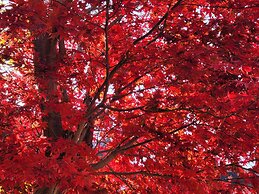 Mt Seorak the East Sea and Hot spring
