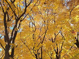 Mt Seorak the East Sea and Hot spring