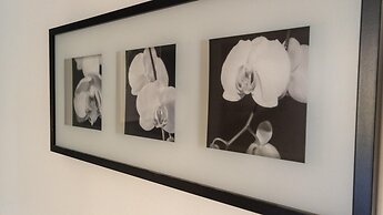 Italianway - Riva di Reno 47 B