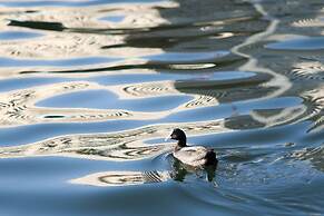 PETALS TOKYO - Floating Hotel