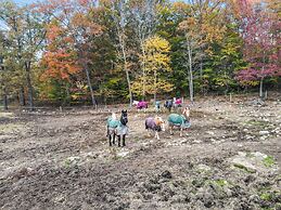 Mountain Laurel Resort