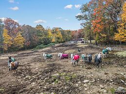 Mountain Laurel Resort