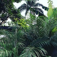 Very Charming 1-bed Studio-apartment in Paramaribo