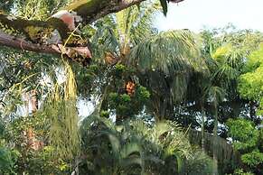 Very Charming 1-bed Studio-apartment in Paramaribo