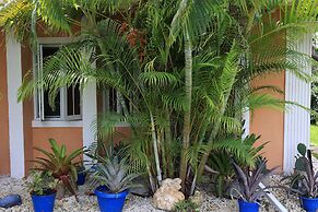 Coconut Palm Hideaway