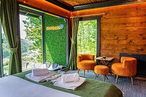 Pavri Suit Bungalov