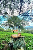 Cabana Canto Lindo - Urubici - SC