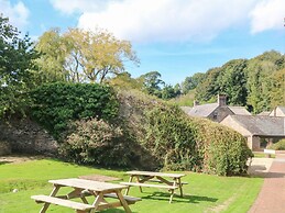 Primrose at Stancombe Manor, Nr Kingsbridge