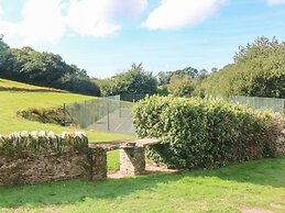 Primrose at Stancombe Manor, Nr Kingsbridge