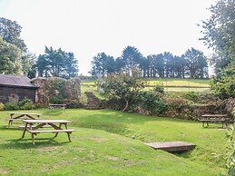 Primrose at Stancombe Manor, Nr Kingsbridge