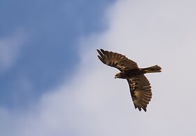 Upper Lodge, Shotley