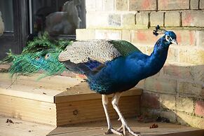 Fishpond House, Sotherton