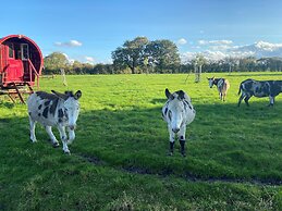 Fishpond House, Sotherton