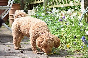15 Victoria Street, Southwold