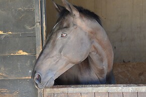 Stable Cottage at the Grove, Great Glemham