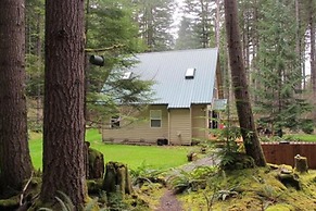 Elk Crossing Cozy Cabin At Crystal Mountain 3 Bedroom Home by RedAwnin