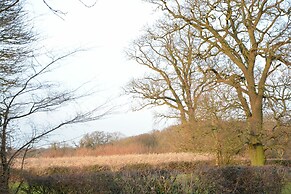 Red Robin, Whepstead