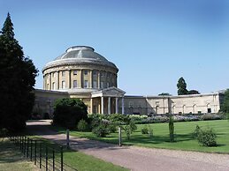 Red Robin, Whepstead