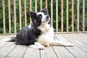 Yew Tree Farm Stable, Worlingworth
